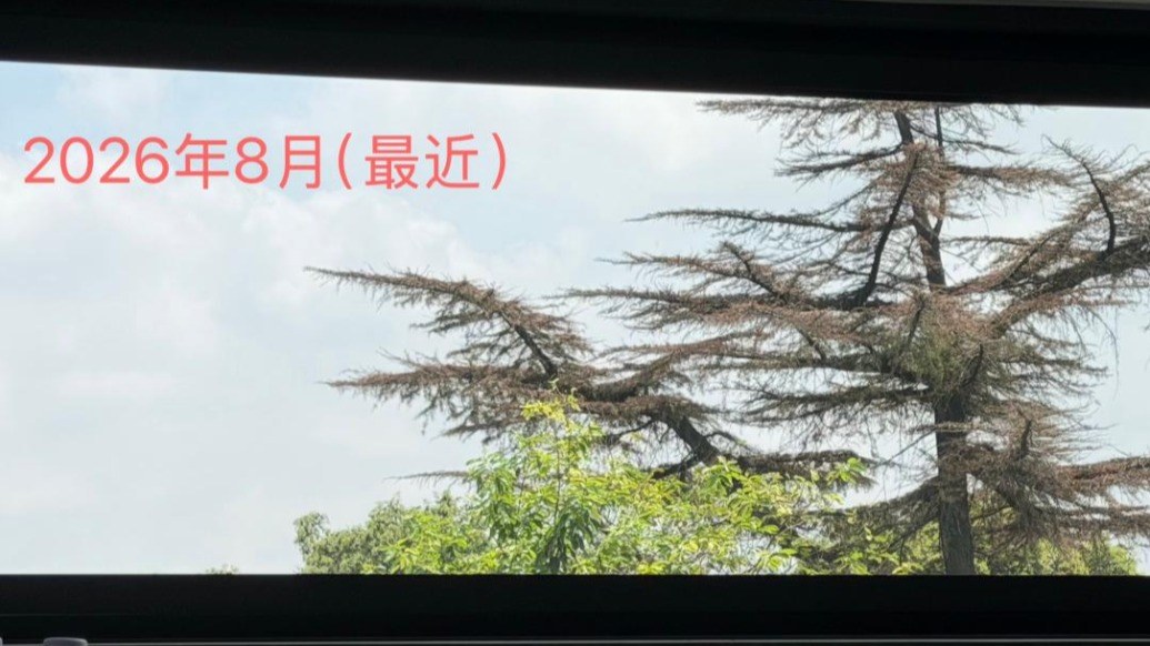 苏州西帝摩金属3D打印设备产销两旺：上半年订单增约3倍、海外占比首超60%