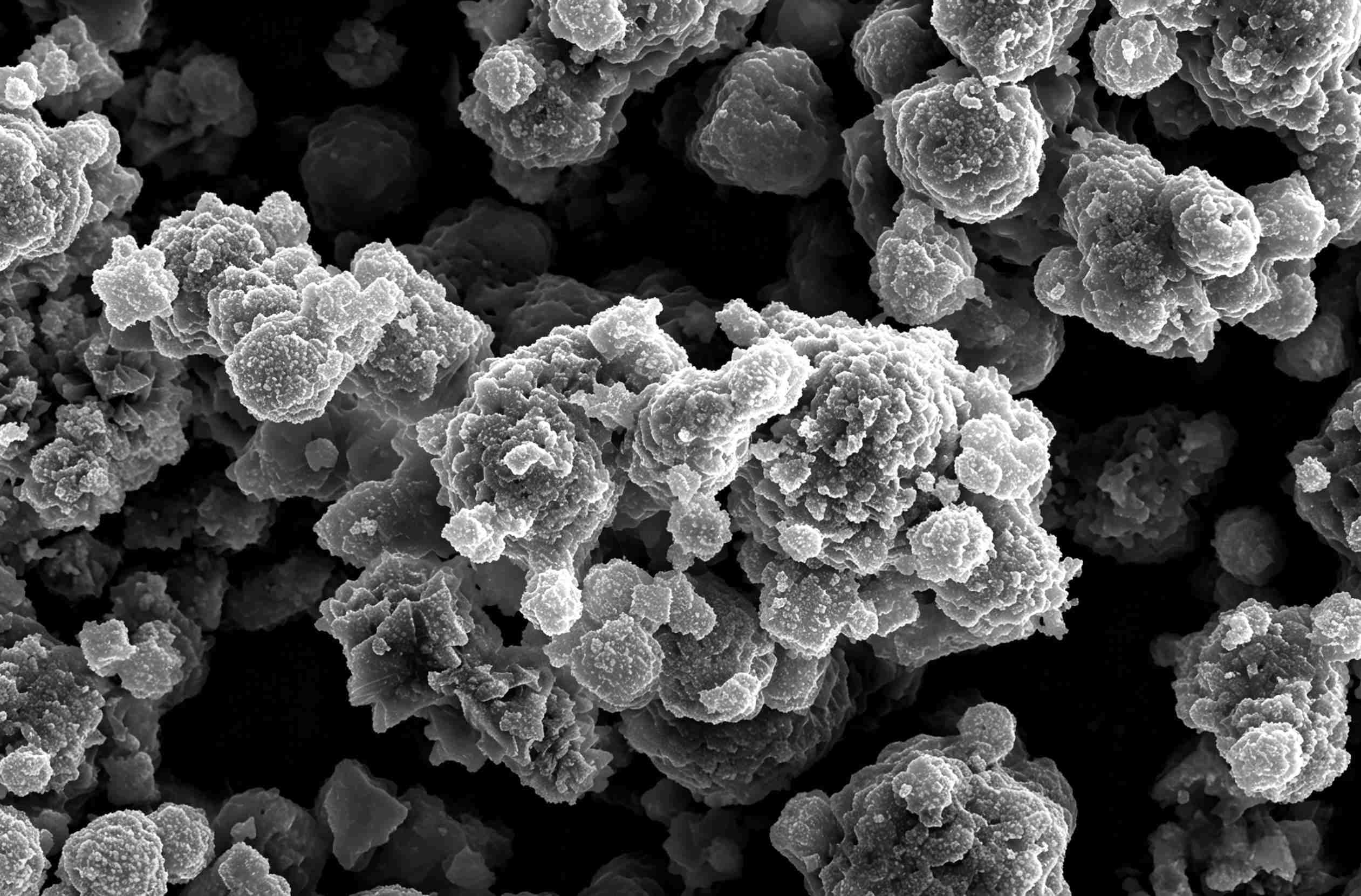 金属单质粉末 SEM